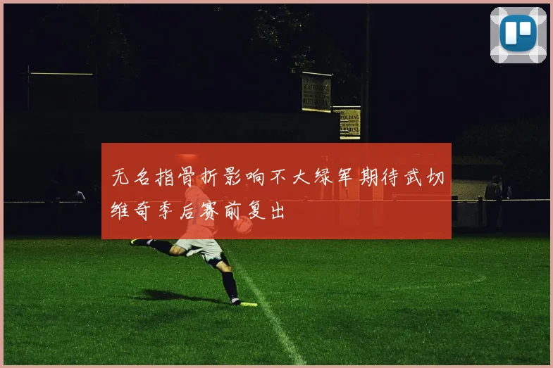 无名指骨折影响不大绿军期待武切维奇季后赛前复出