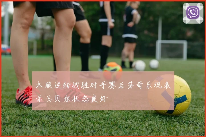 木狼逆转战胜对手赛后芬奇乐观表示戈贝尔状态良好